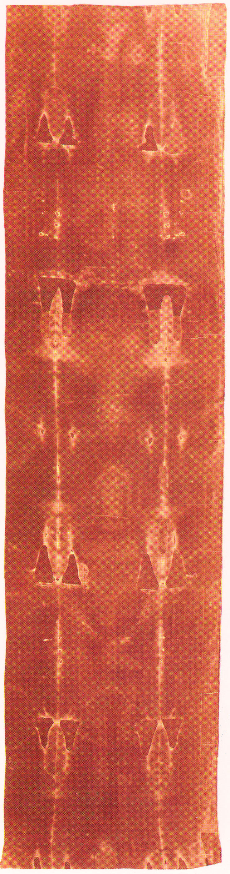 Photographic negative of the Holy Shroud Photographic negative of the Holy Shroud