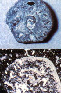 Coins Coins