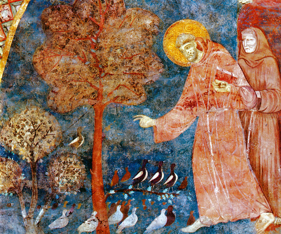 Saint François prêche aux oiseaux (Assise, XIIIe siècle)