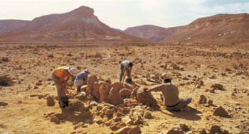 Archéologie biblique Archéologie biblique