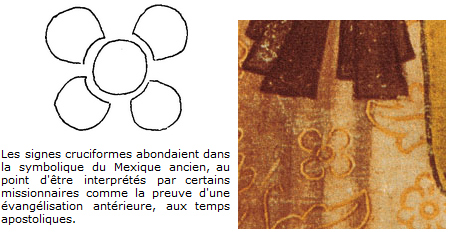 Fleurs de la tunique de la Vierge Fleurs de la tunique de la Vierge