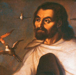 Juan Diego