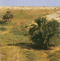 Source d'Ayn Kharrar Source d'Ayn Kharrar