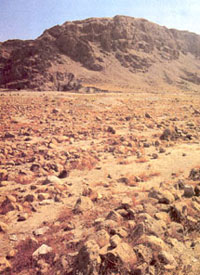 Vaste cimetière à Qumrân