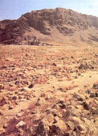 Vaste cimetière à Qumrân Vaste cimetière à Qumrân