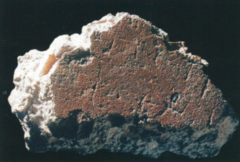 Fragment du mur rouge