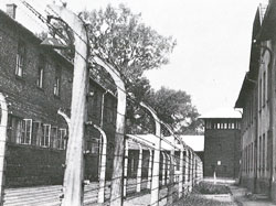 Auschwitz