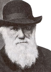 Darwin