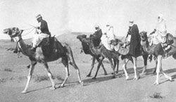 Laperrine à la tête d'un peloton de méharistes.