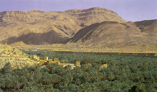 La palmeraie d'une oasis, sur la piste caravanière qui relie Zafar et Najran, en Arabie Heureuse.