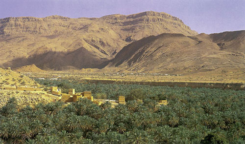 La palmeraie d'une oasis, sur la piste caravanière qui relie Zafar et Najran, en Arabie Heureuse. La palmeraie d'une oasis, sur la piste caravanière qui relie Zafar et Najran, en Arabie Heureuse.