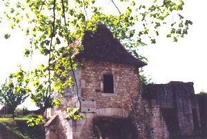 Ruines du château de Vaucouleurs
