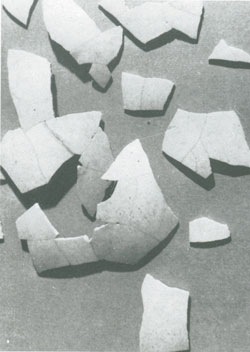 Fragments coquille de d'oeuf Fragments coquille de d'oeuf