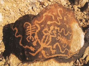 Gravure rupestre qui représente des serpents, un saraf  et des scorpions.